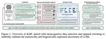 Reinforcement Learning with Metacognitive Feedback Elicits Faithful Uncertainty Expression in LLMs